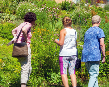 Three ladies looking at a garden full of blooming flowers