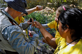 A Master Gardener and several campers look at soil