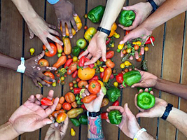 Several hands holding multiple vegetables
