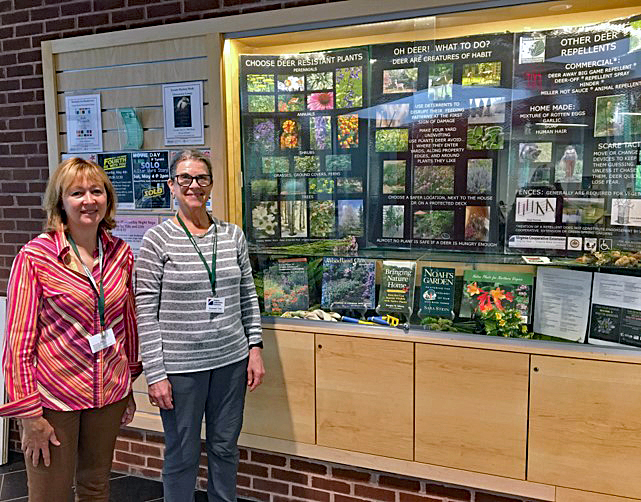 Two Master Gardeners stand next to a gardening exhibit in a library