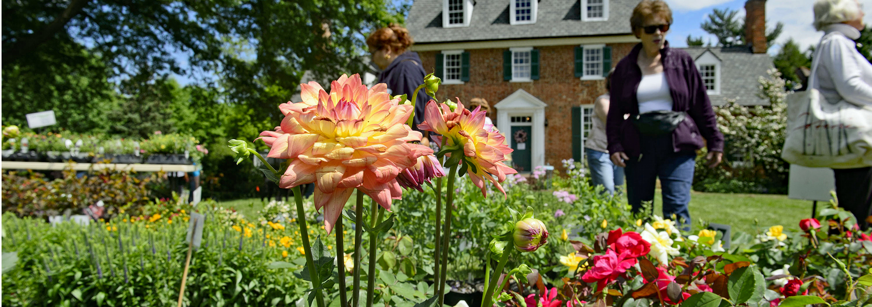 Green Spring Gardens On Your Own Park Authority