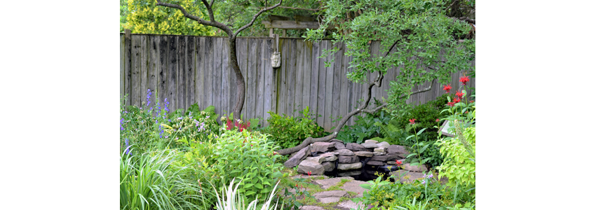 Green Spring's wildlife garden