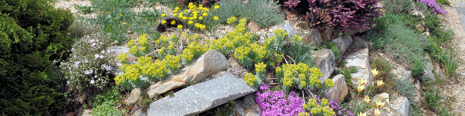 Green Spring Gardens