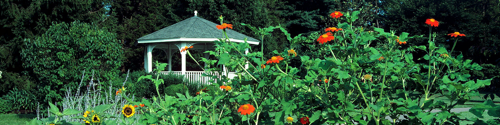 Green Spring Gardens