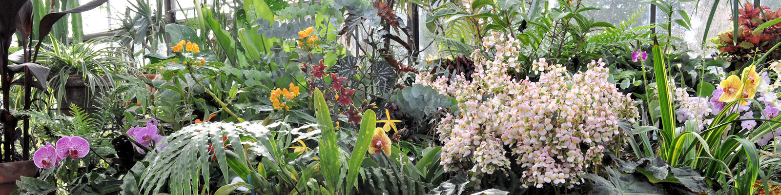 Green Spring Gardens