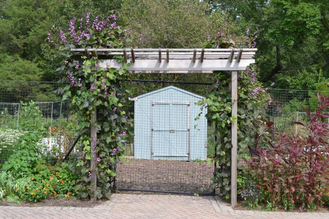 green spring edible garden