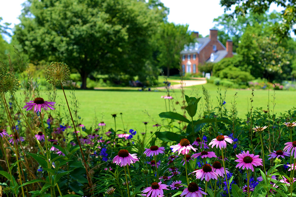 Green Spring Garden