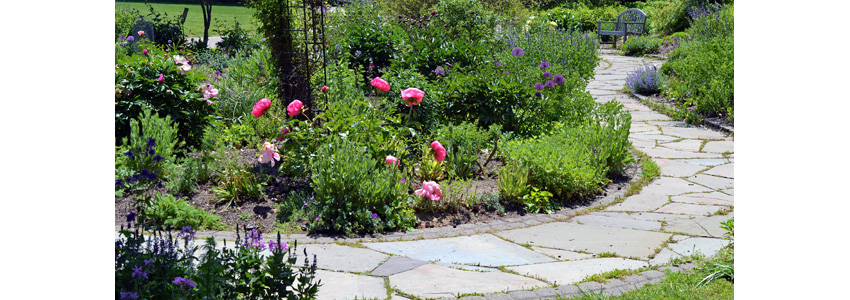 Green Spring Gardens Trail