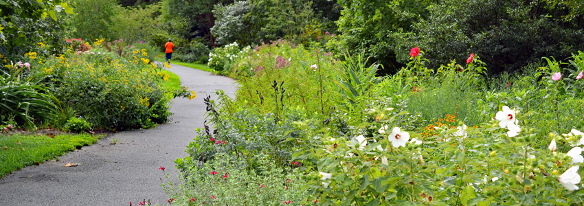 Green Spring Gardens Trail