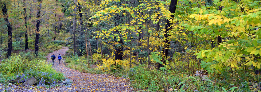 Green Spring Gardens Trail