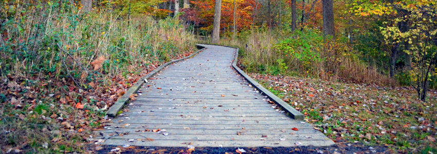 Green Spring Gardens Trail