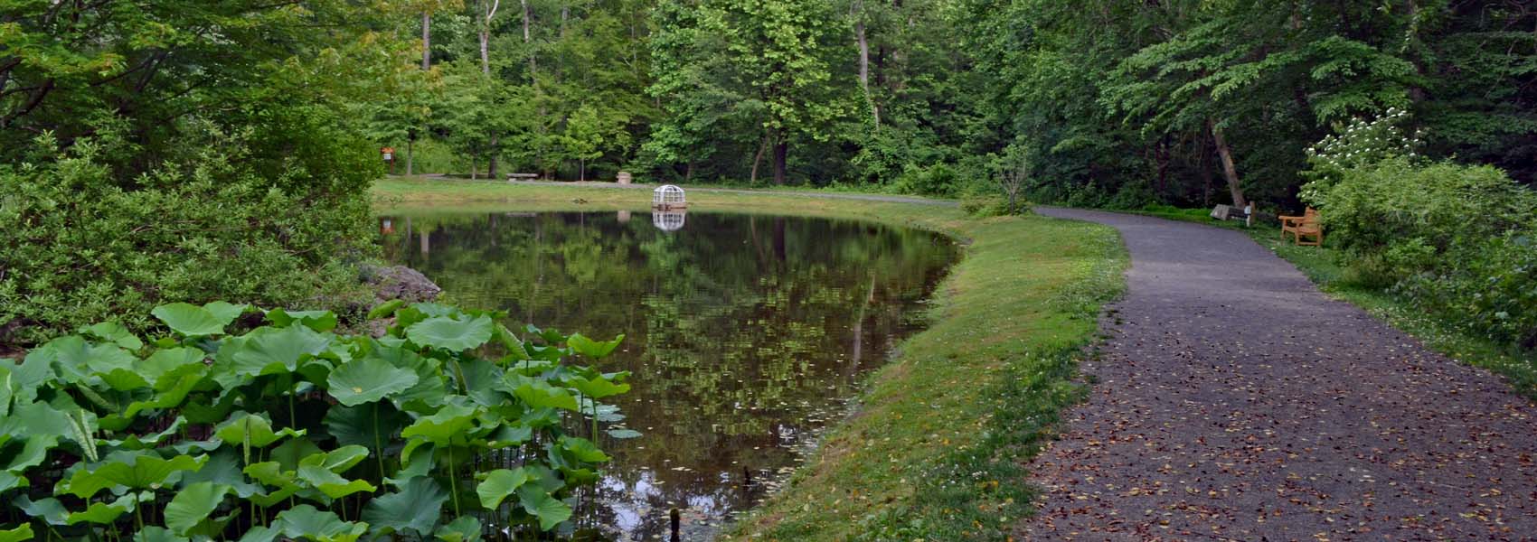Green Spring Gardens Trail
