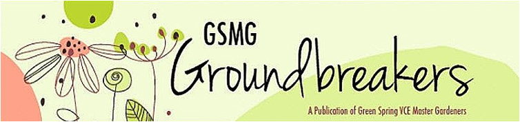GSMG Groundbreakers Newsletter