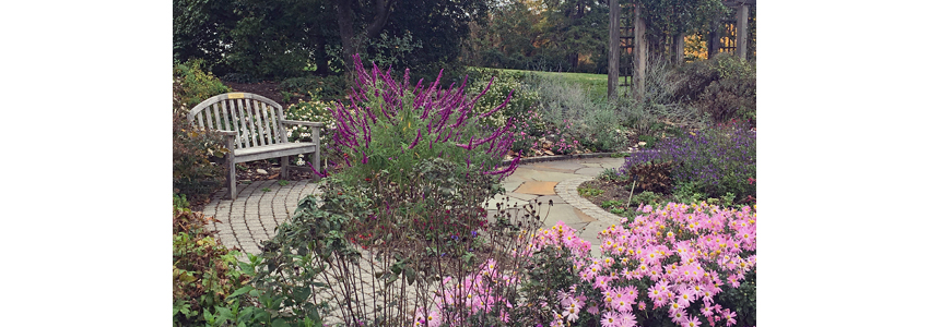 Green Spring's fall garden in bloom