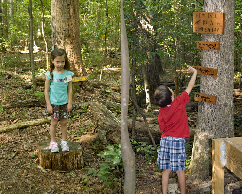 Children play in Nature Playce