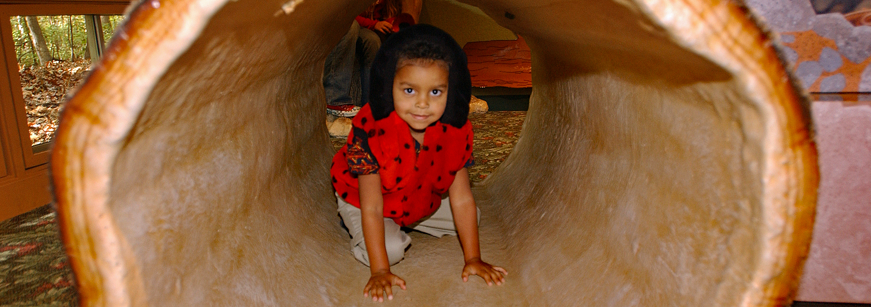 Young girl inside a giant, hollowed out tree in Hidden Oaks' exhibit area