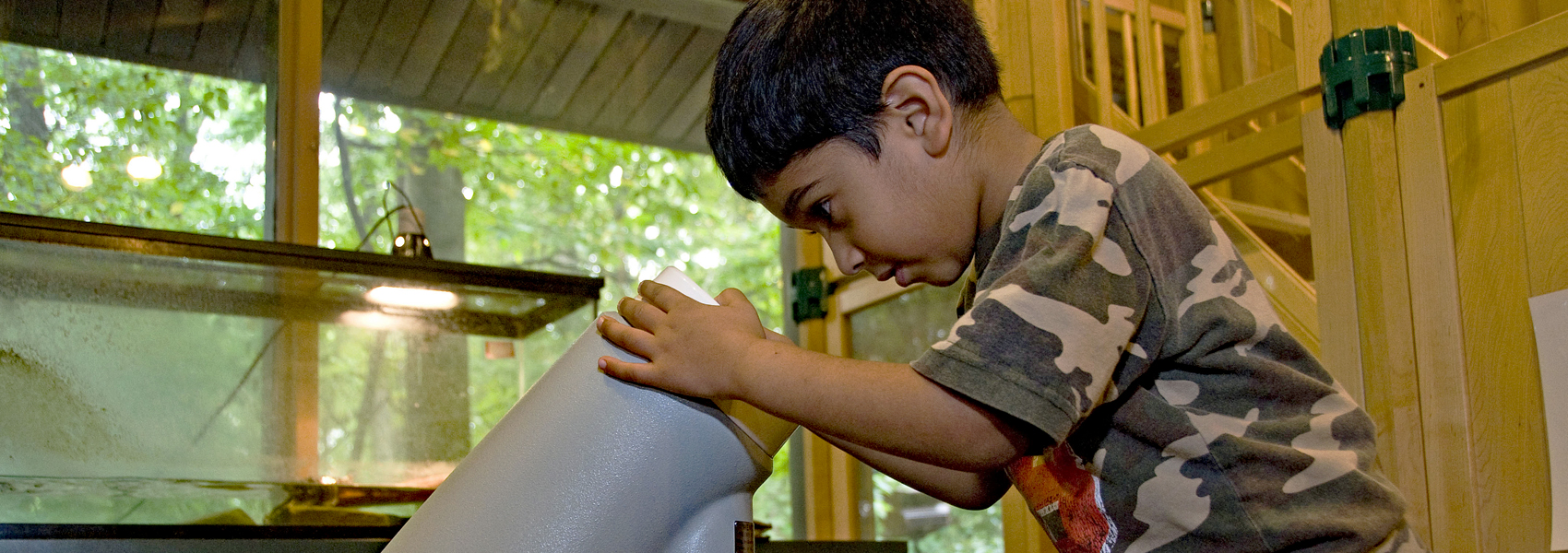 A young boy looks through a microscope