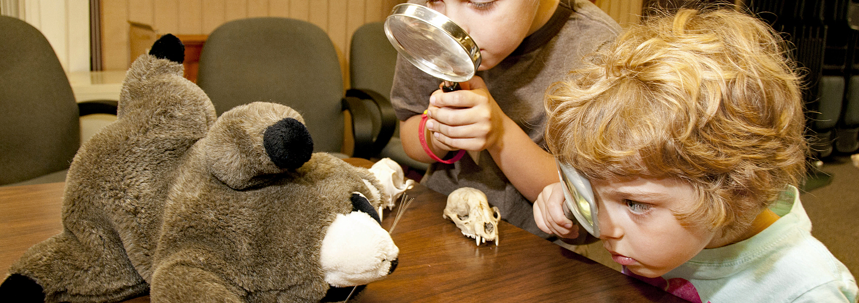 Youngsters use magnifying glasses to look at a teddy bear