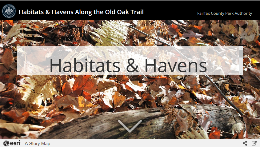 Habitats and Havens Story Map thumbnail