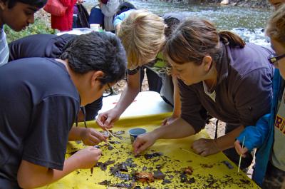 Students search through items netted from a pond