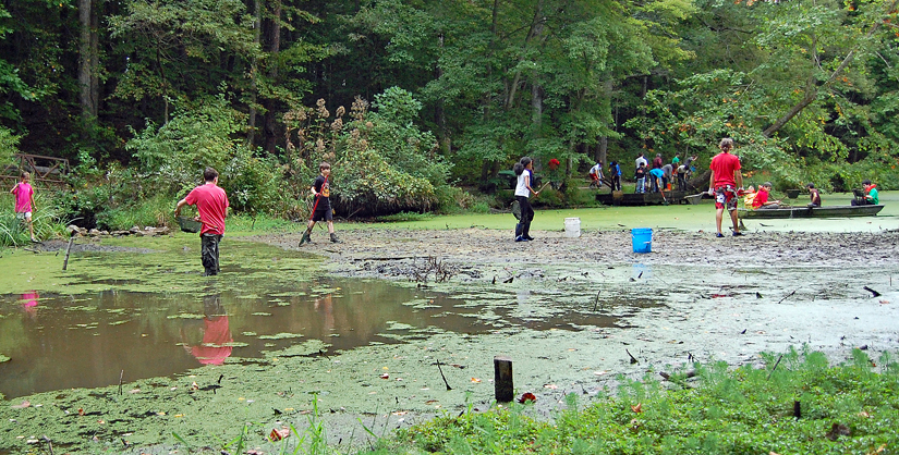 Several scouts removing duckweed from the waters of Hidden Pond