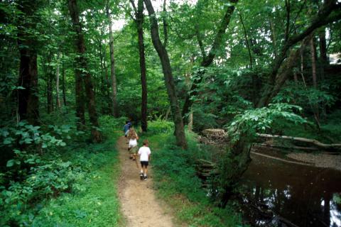 hidden pond trail