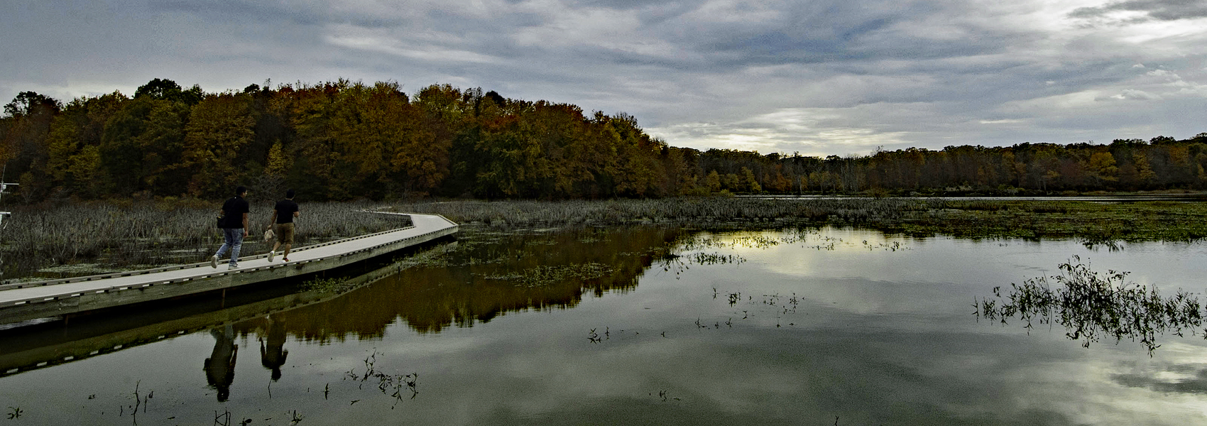 Two people walk on the Huntley Meadows boardwalk under cloudy skies