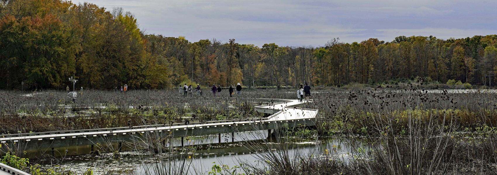 Several people on the Huntley Meadows boardwalk look out over the park's wetlands