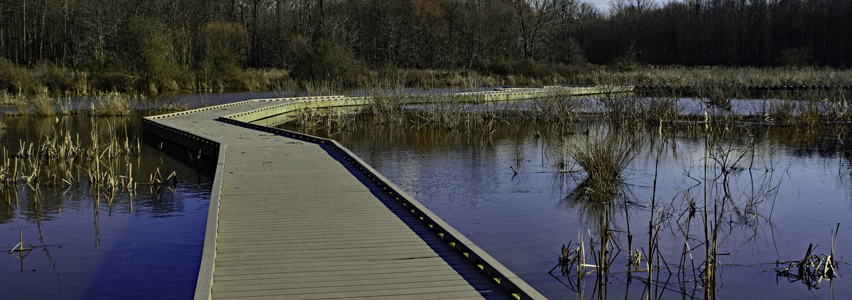 Waters shimmer under the Huntey Meadows boardwalk