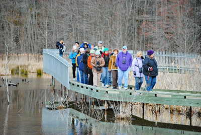 Park visitors walk on the reconstructed boardwalk