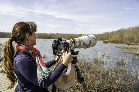 Huntley Meadows Photography