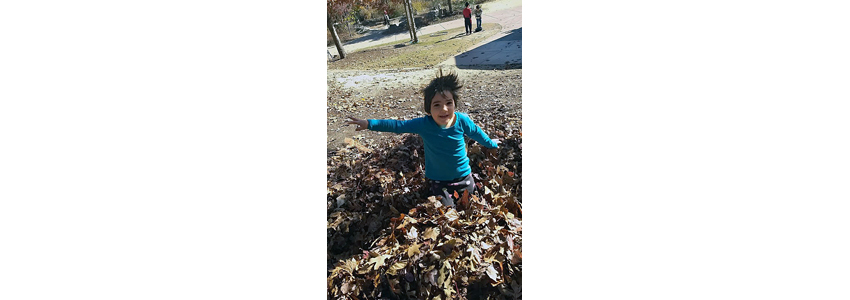 Child playing in pile of leaves