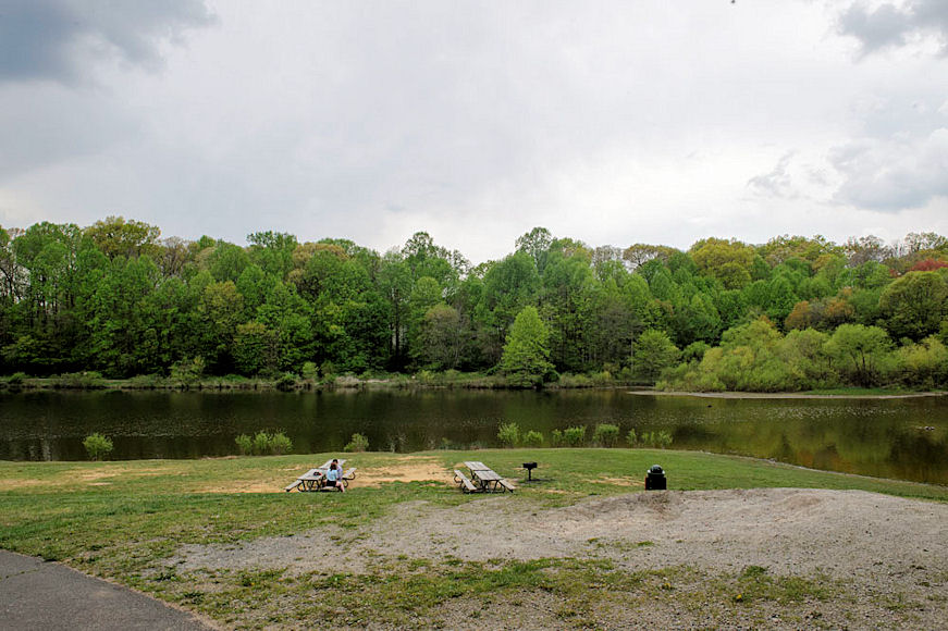 Roal Lake from the Shore