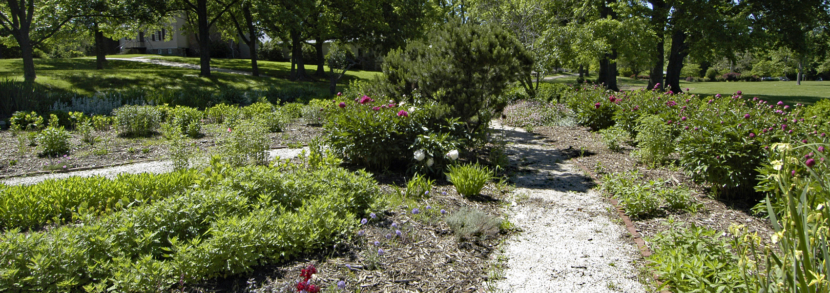 The garden at Sully