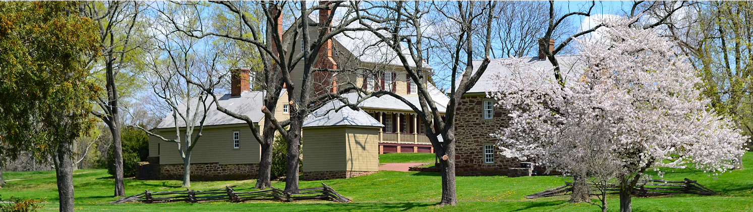 Trees bloom on the yard near Sully's main house