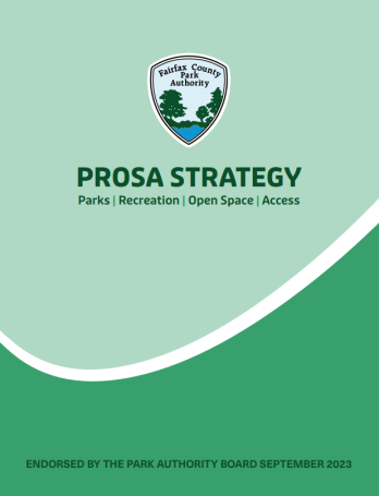 PROSA Strategy