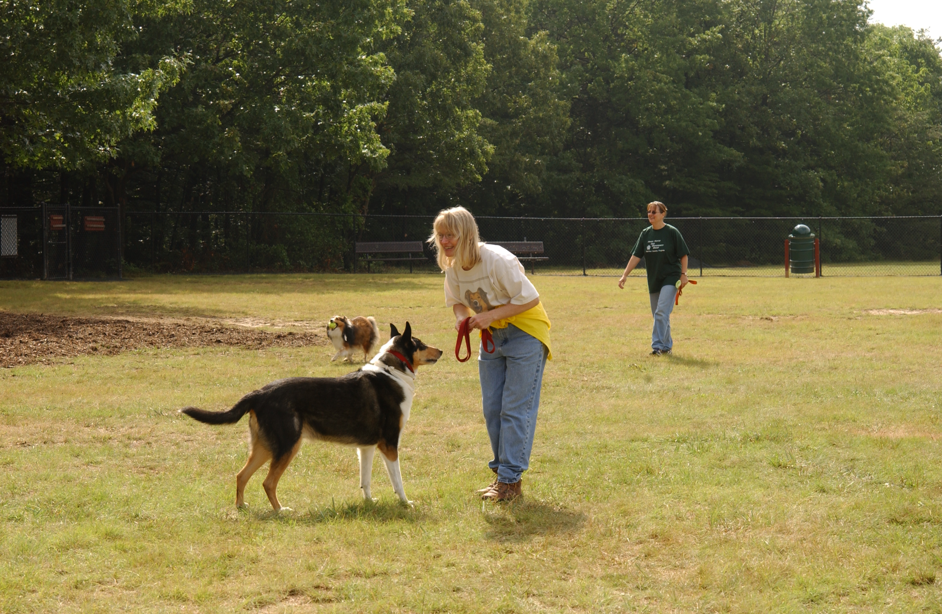 dog park