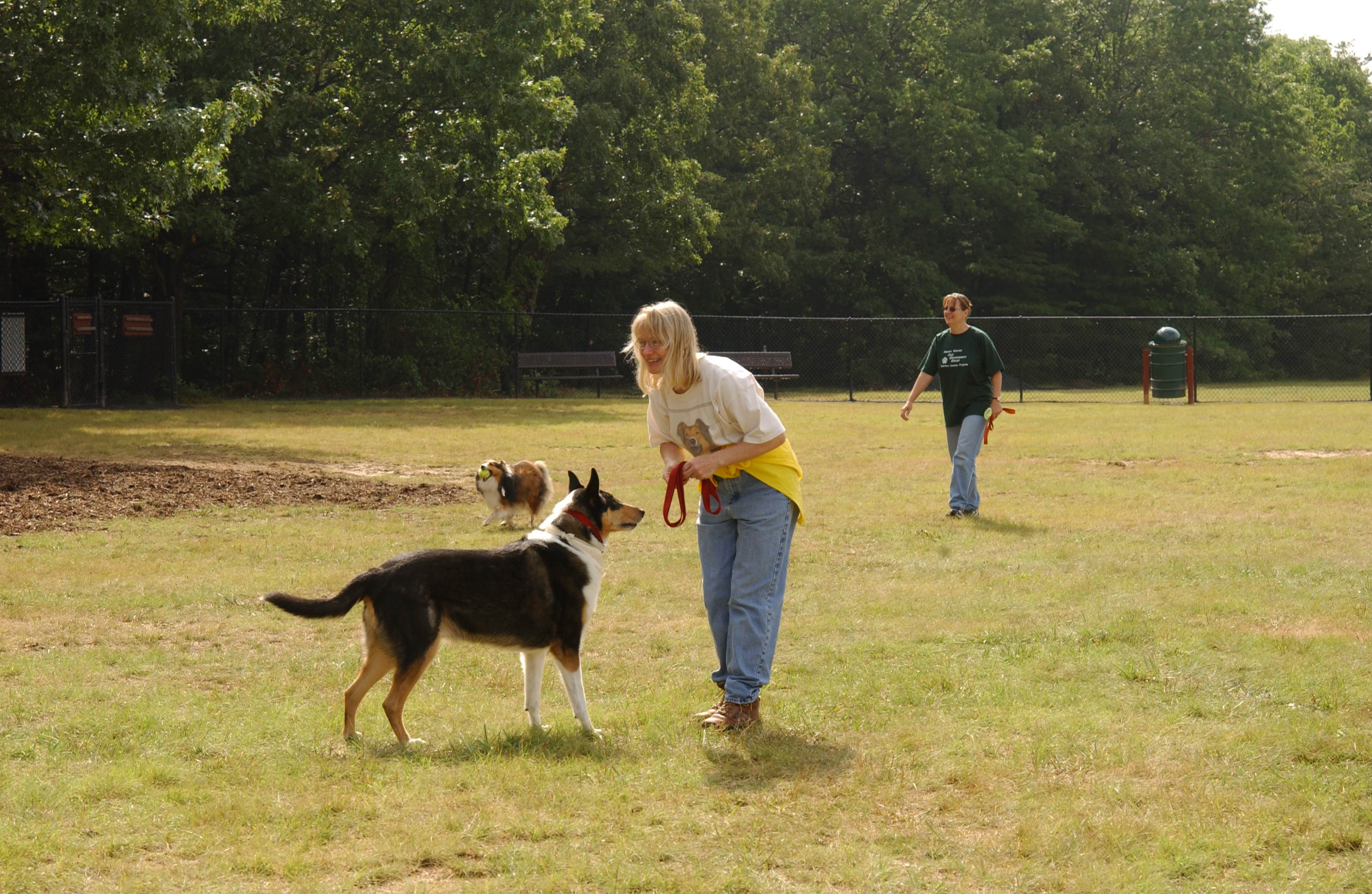 dog park