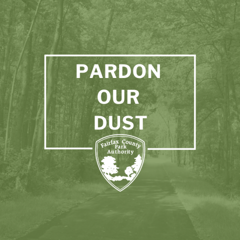 Pardon our dust