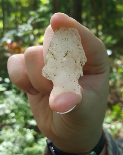 Fishtail Point Recovered by FCPA Archaeologists. 