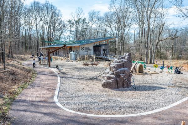 srping into action ad banner