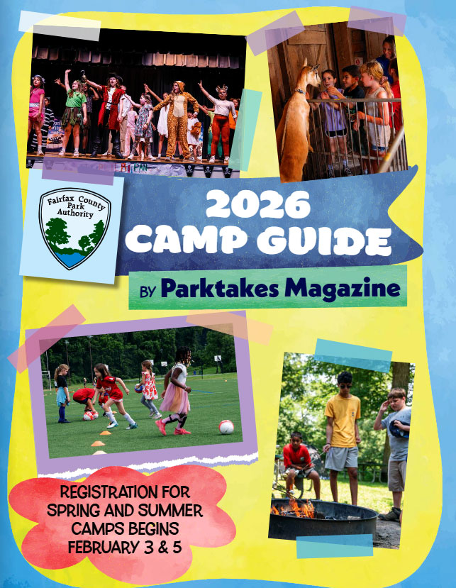 camp guide cover