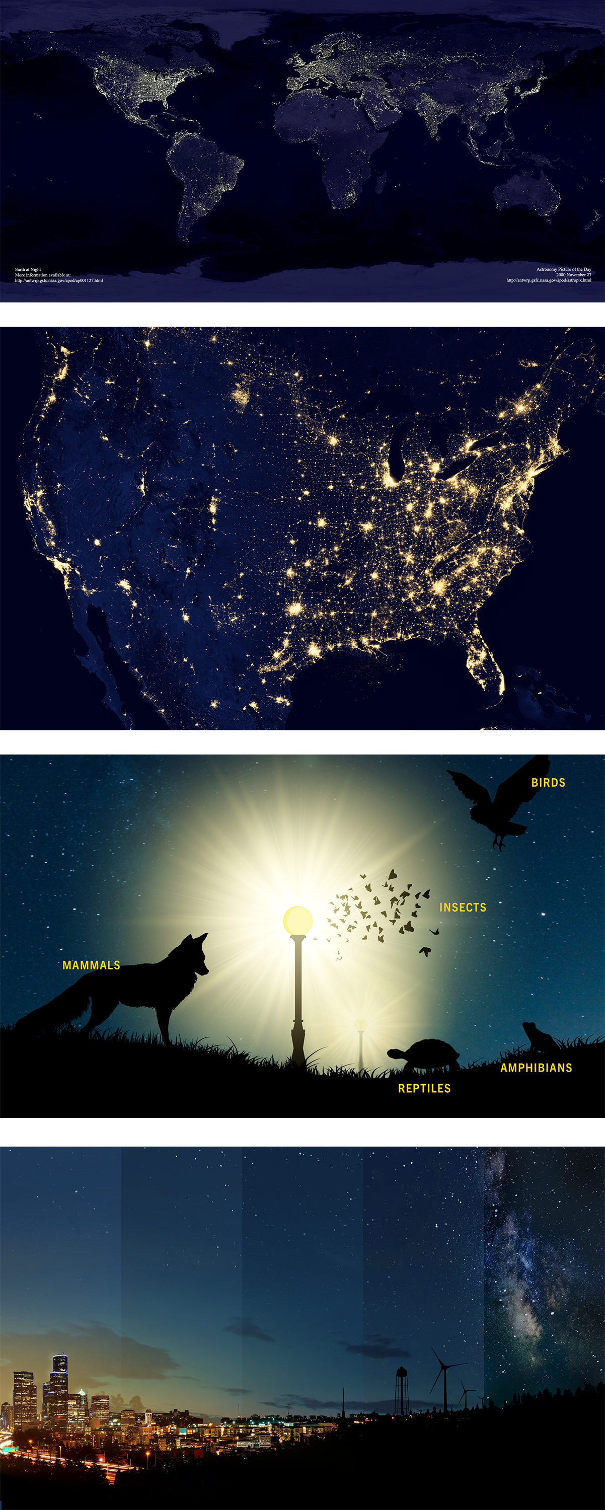 light pollution across the world; bright light shining on a wolf, a turtle, a frog, and some birds