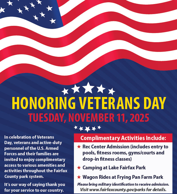 honoring veteran's day
