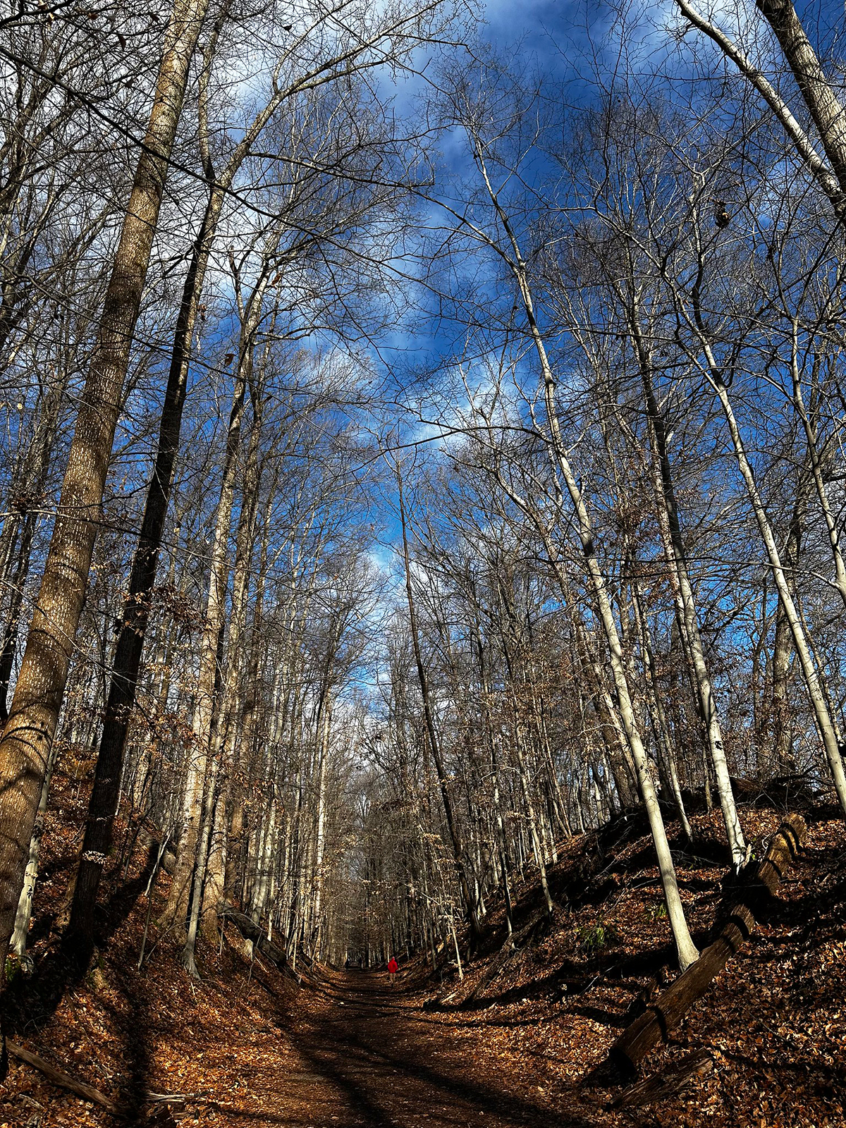 First Hike best in show nature and landscapes
