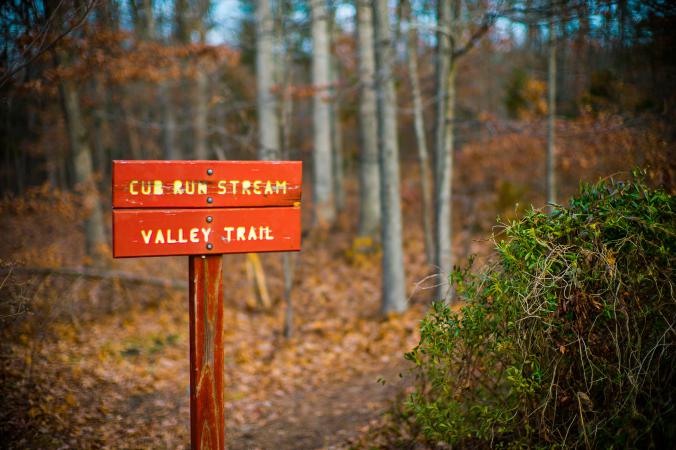 Cub Run