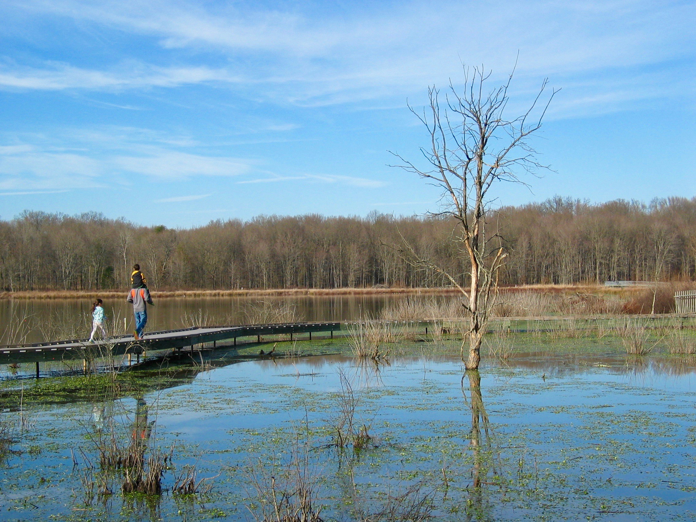 Huntley Meadows