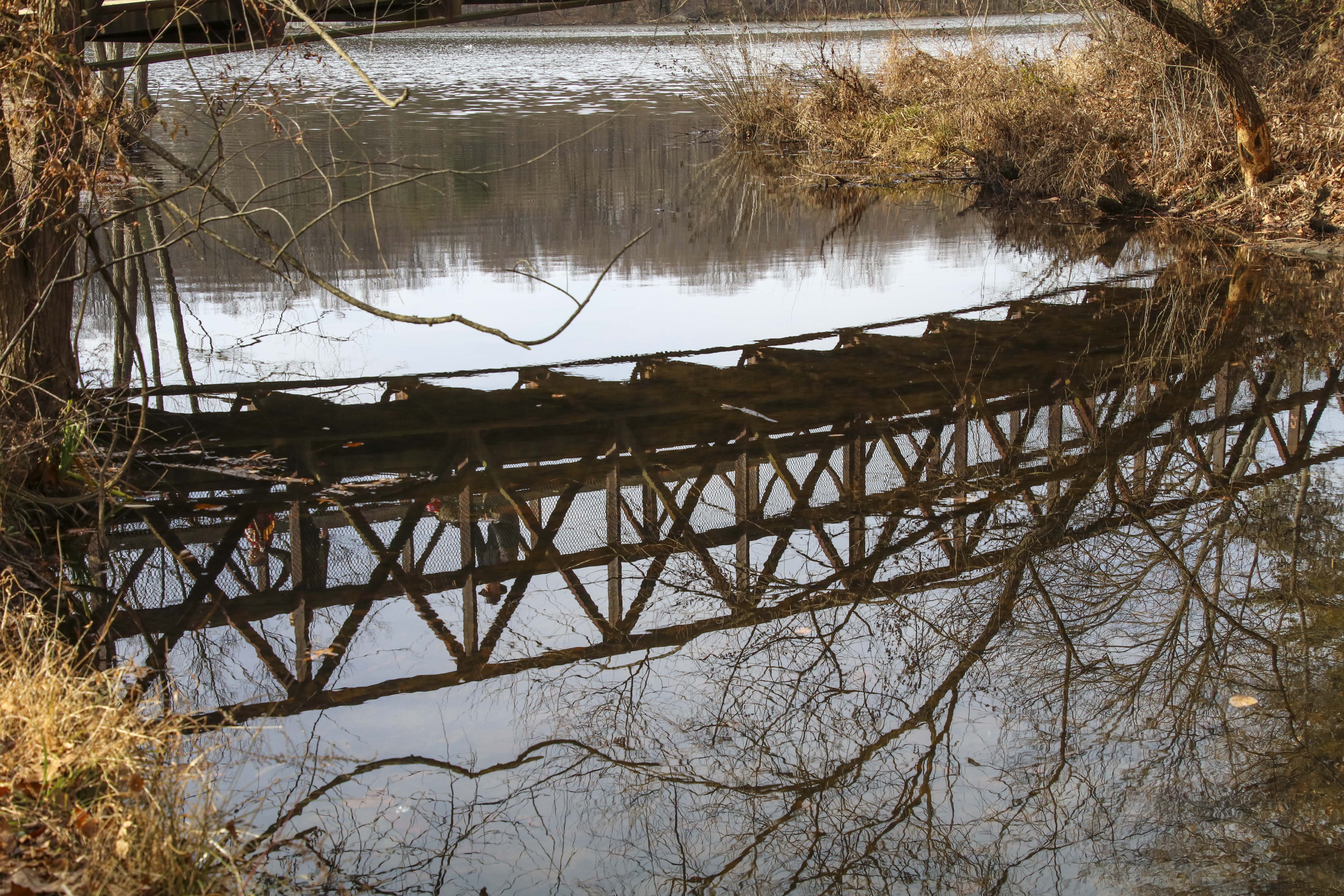 Lake Accotink Park