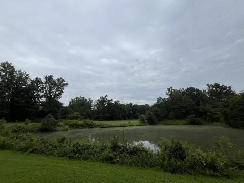 Greendale Golf Course