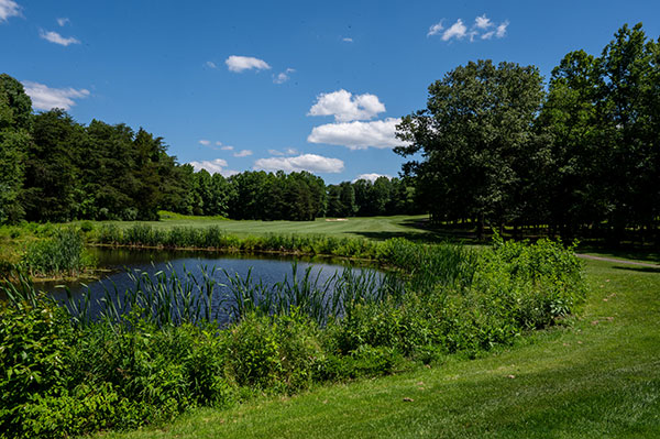 oak hole 2